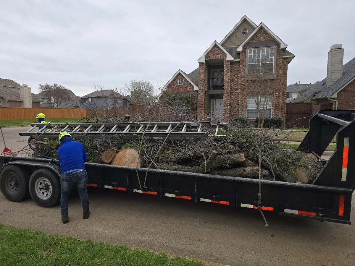 Expert Crown Reduction with proper safety equipment in Winterhaven